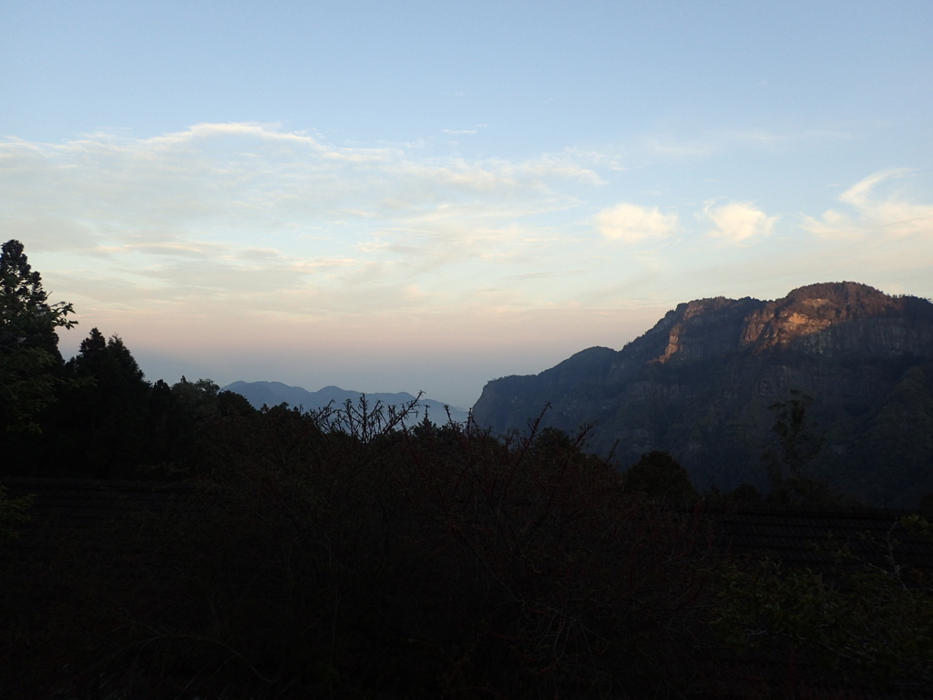 P3268019.JPG - 阿里山  沼平公園  賞櫻