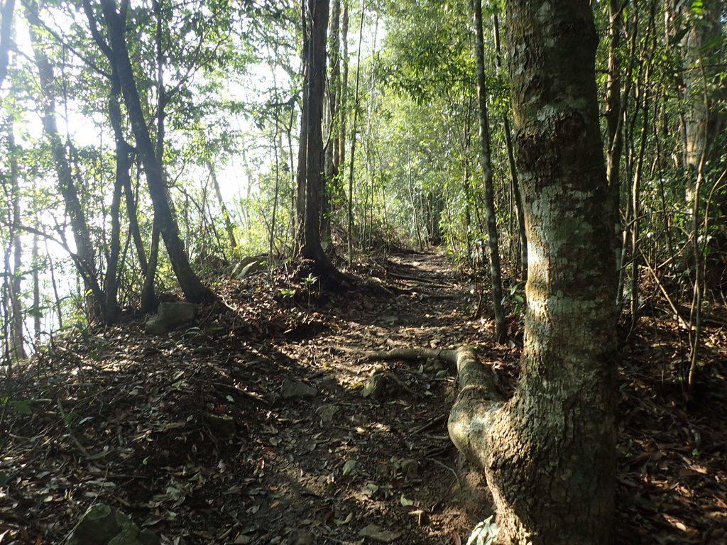 P3217540.JPG - 谷關七雄  白毛山  01