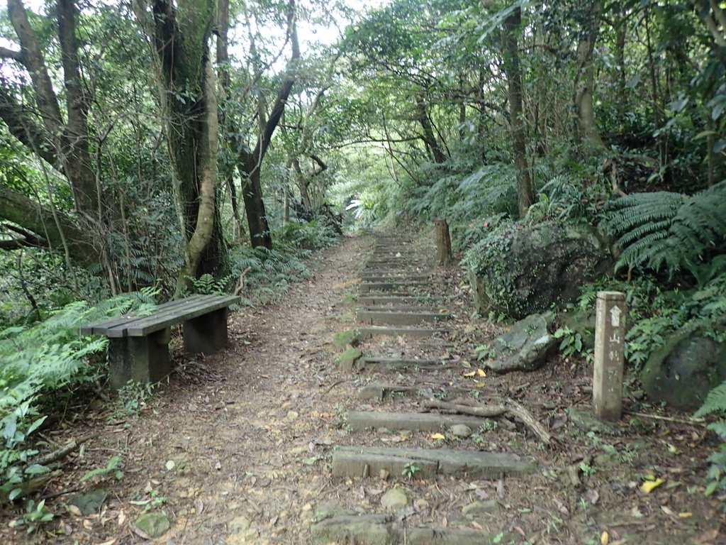 P3018878.JPG - 深坑  土庫岳登山步道  (02)