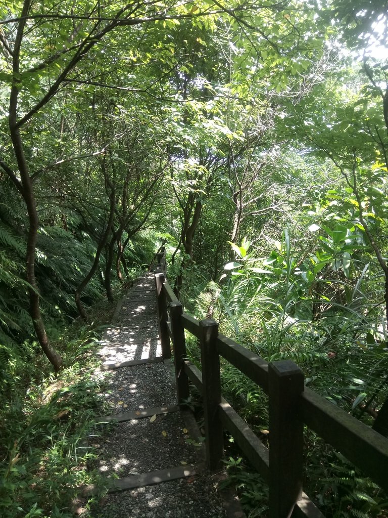 DSC_6646.JPG - 基隆  樂利山  遠眺新山水庫