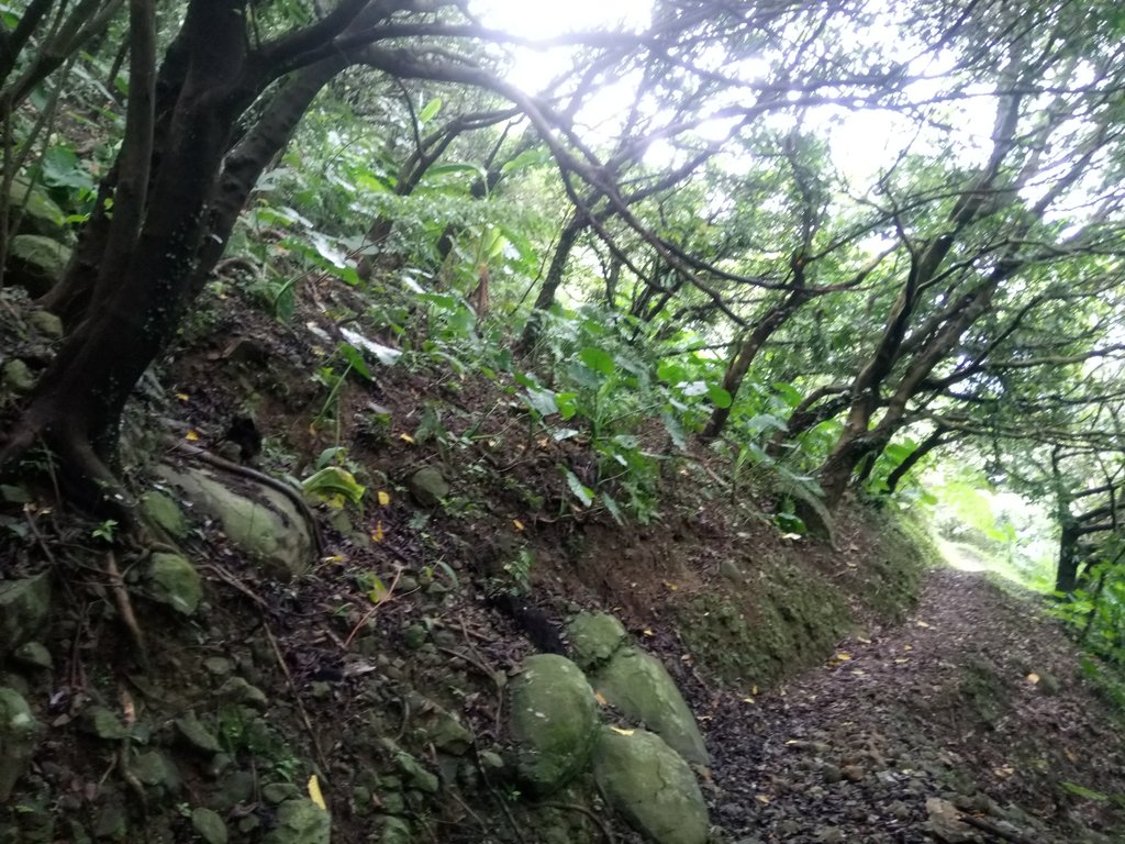 DSC_9439.JPG - 瑞芳  雞籠山登山步道