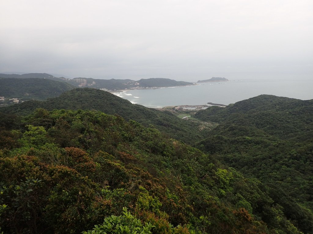 P3308212.JPG - 萬里  瑪鋉山  (望洋崖)