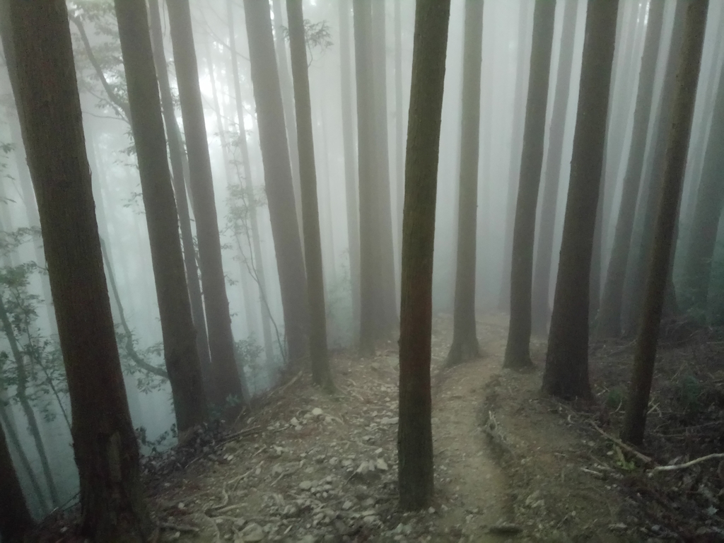 DSC_3798.JPG - 南庄  加里山  森林鐵道