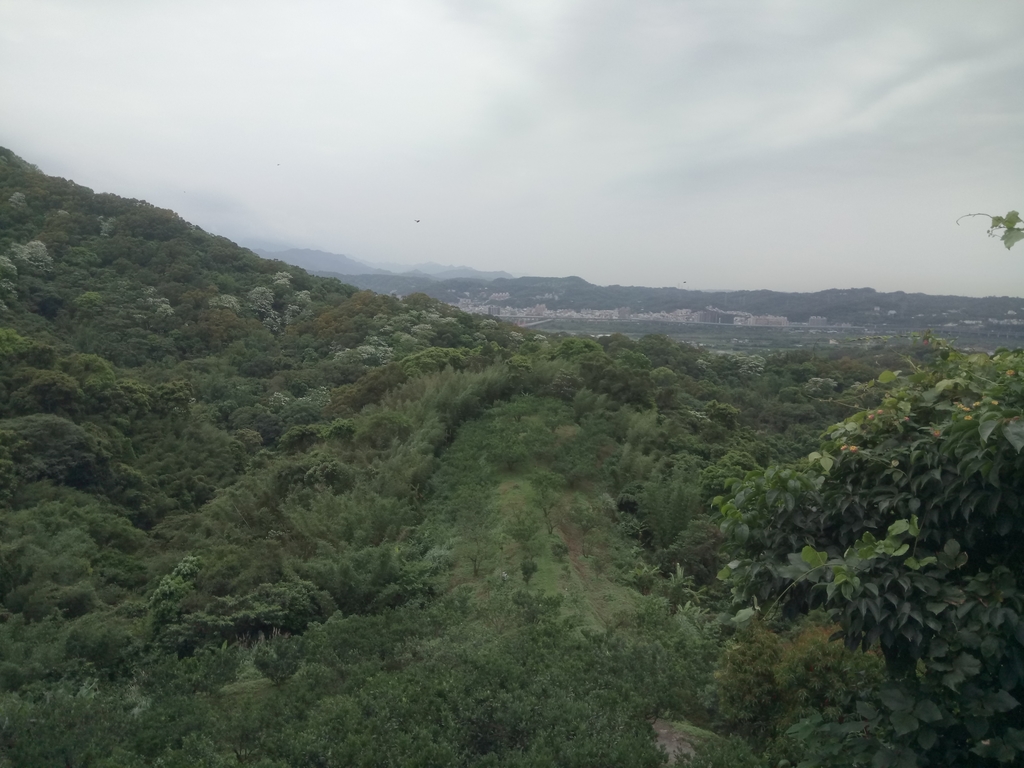 DSC_5856.JPG - 芎林  飛鳳山  (中坑山)