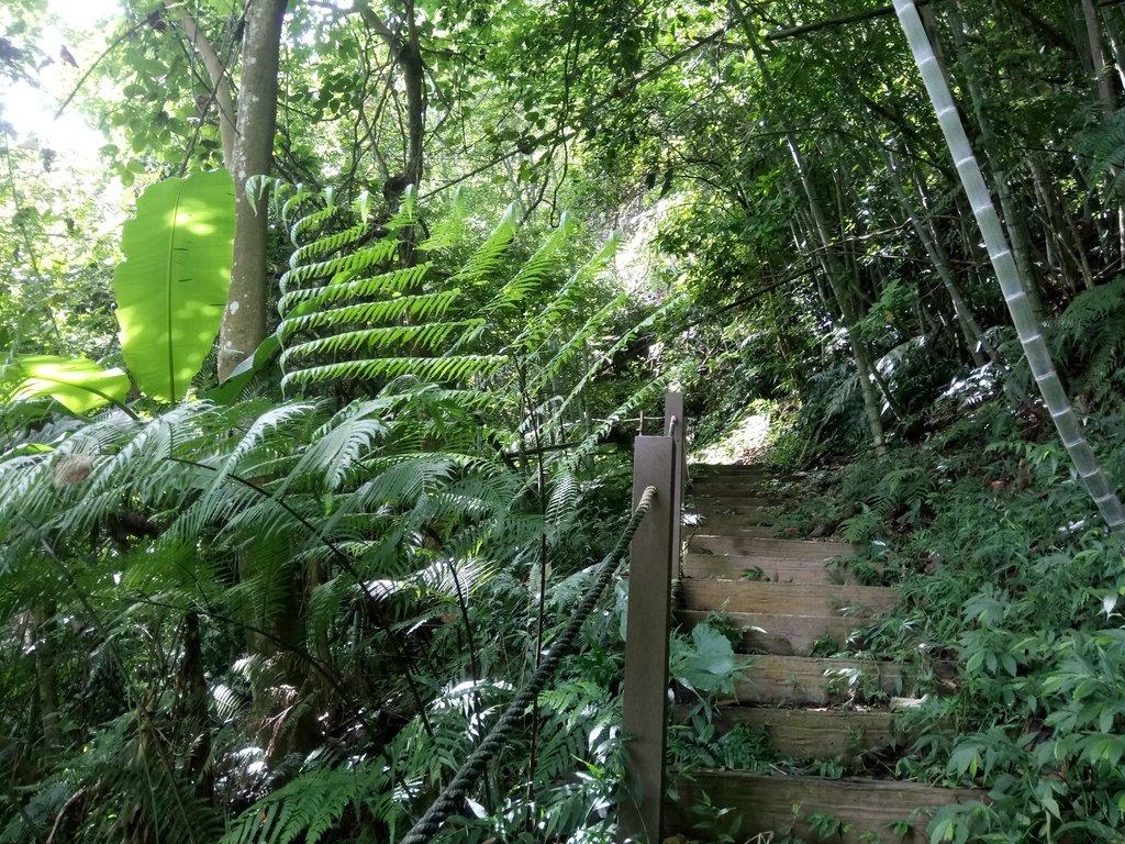 DSC_0175.JPG - 魚池  頭社  後尖山步道