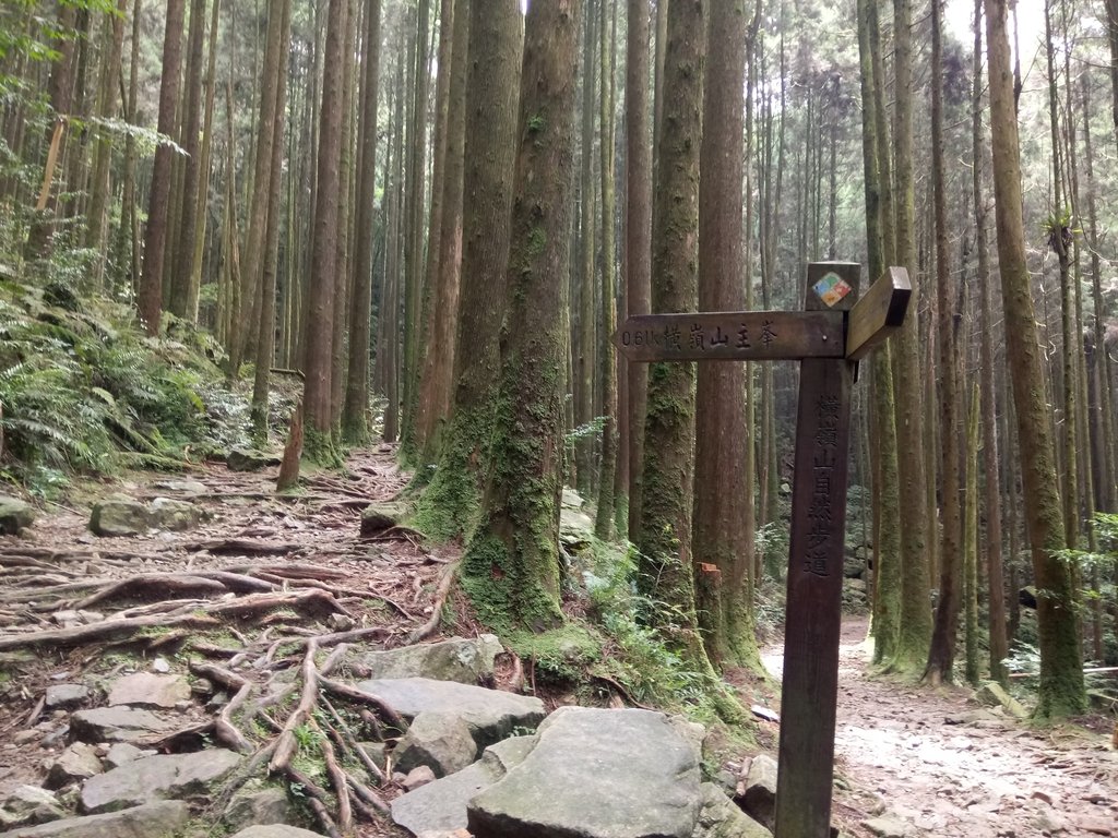 DSC_5289.JPG - 台中  和平  橫嶺山自然步道