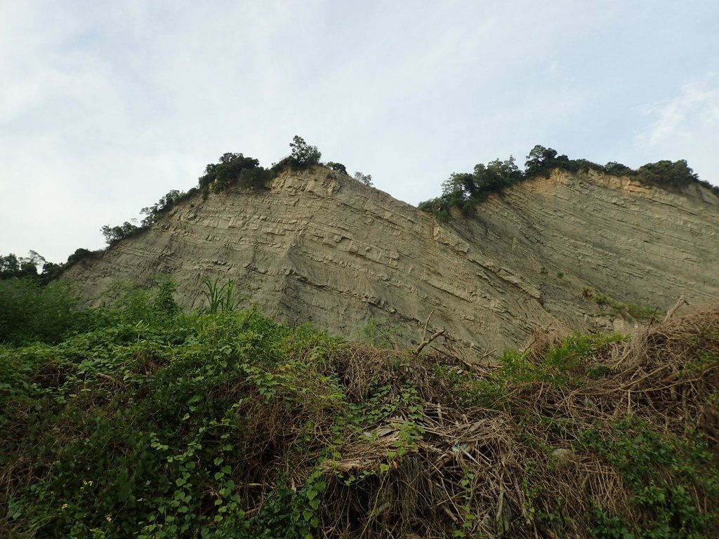 P6285006.JPG - 霧峰  烏溪北岸之  象鼻坑風光