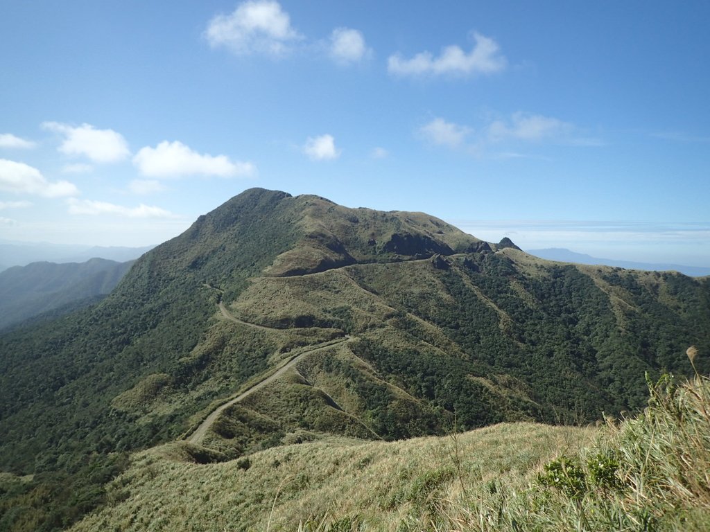 P1216555.JPG - 瑞芳  草山戰備道  (01)