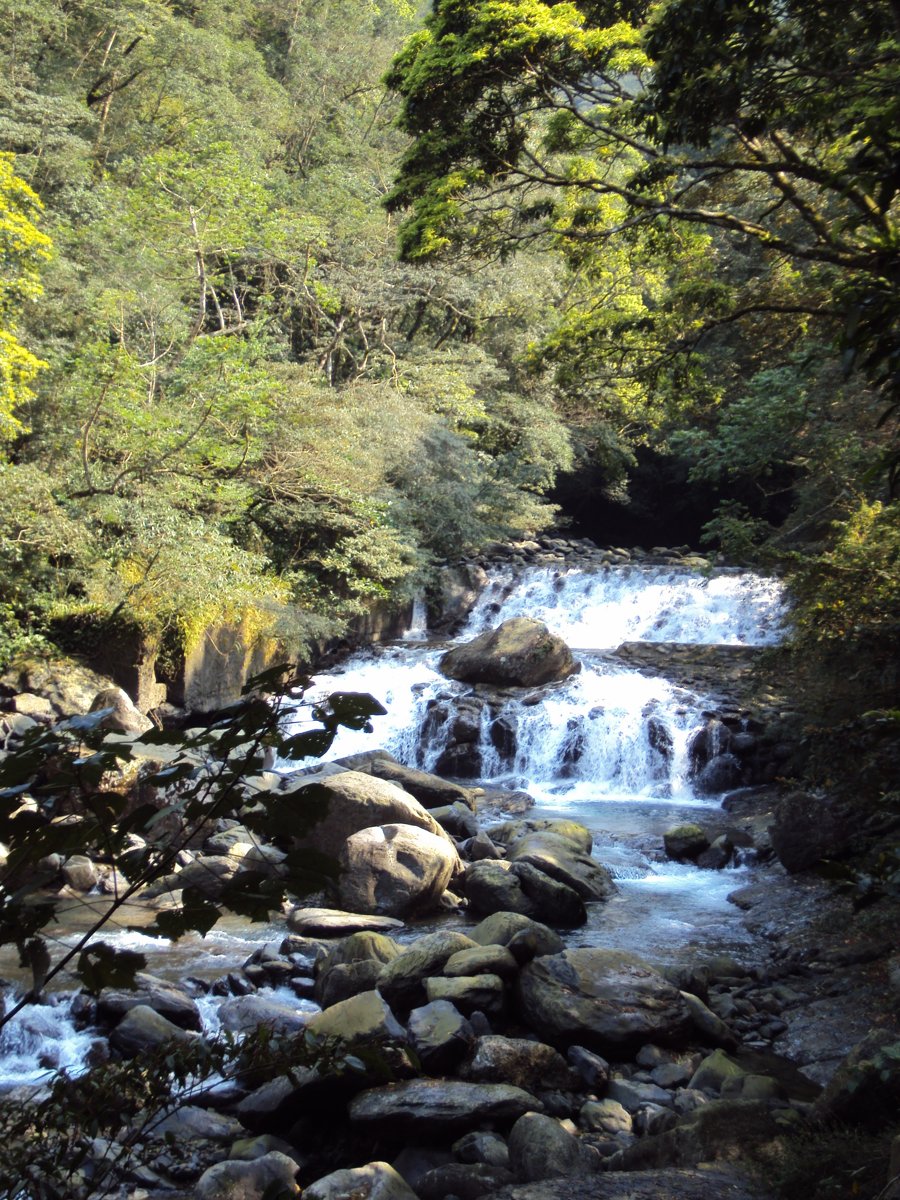 DSC04448.JPG - 三峽  滿月圓遊樂區