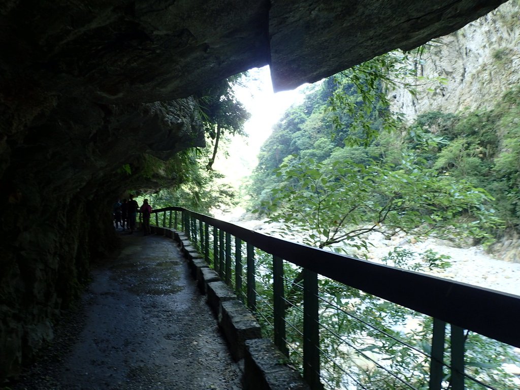 P8120305.JPG - 花蓮  秀林  砂卡噹步道