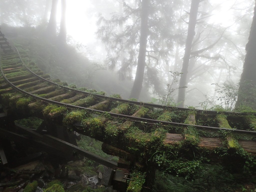 P8226802.JPG - 太平山 見晴懷古步道