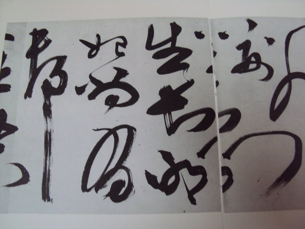 DSC00226.JPG - 陳淳的草書作品