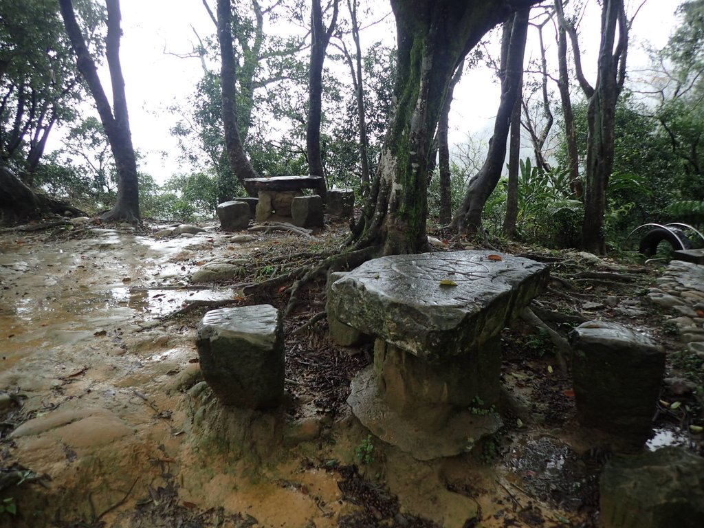 P1062042.JPG - 土城  天上山  登山步道