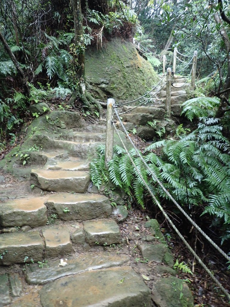 P1062047.JPG - 土城  天上山  登山步道