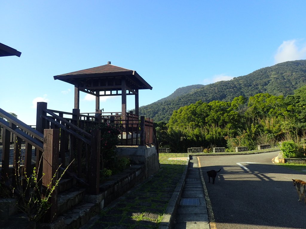 PB247270.JPG - 北投  中正山登山步道 01