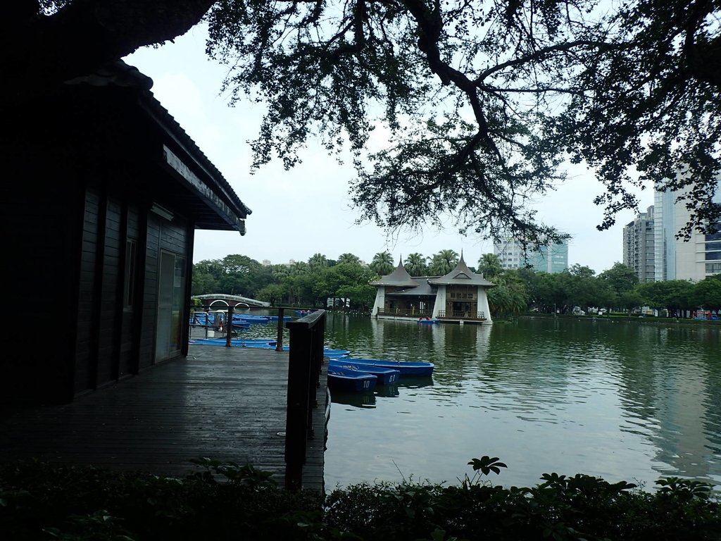 P4225087.JPG - 散步  台中公園一隅