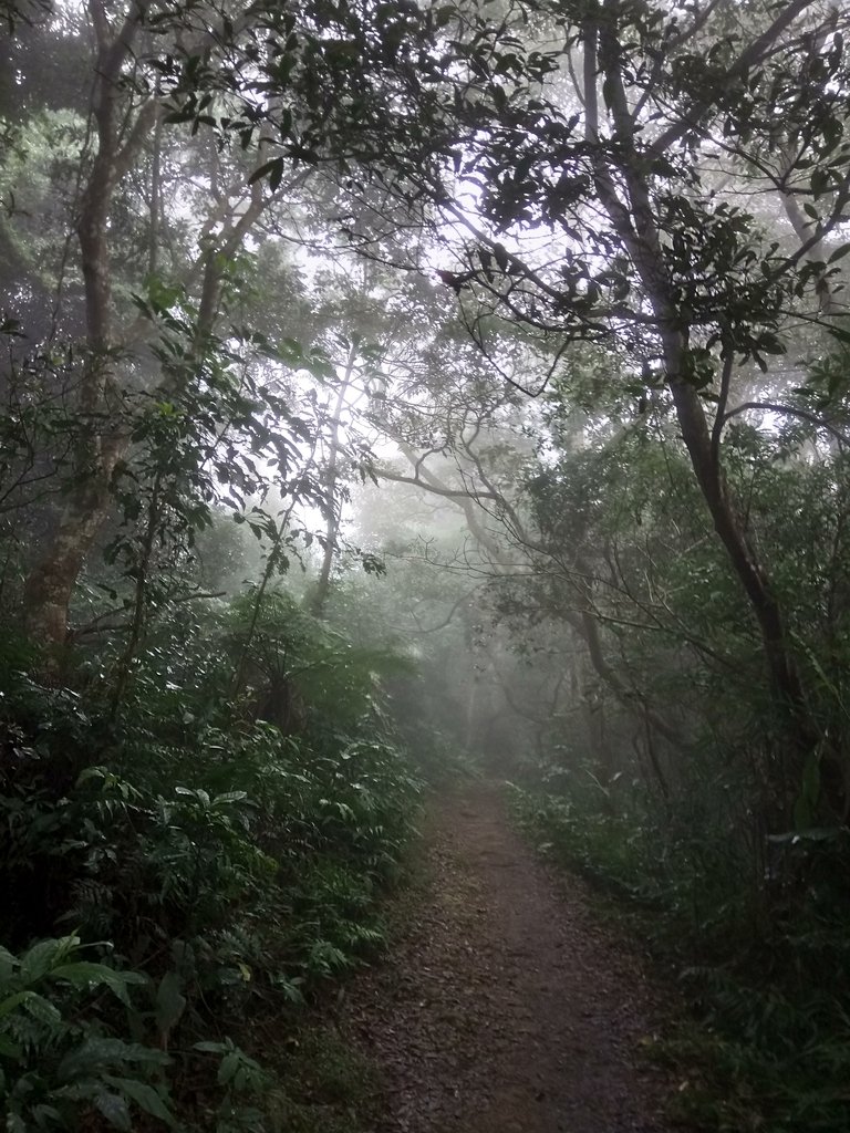 DSC_4885.JPG - 大溪  溪洲山登山步道