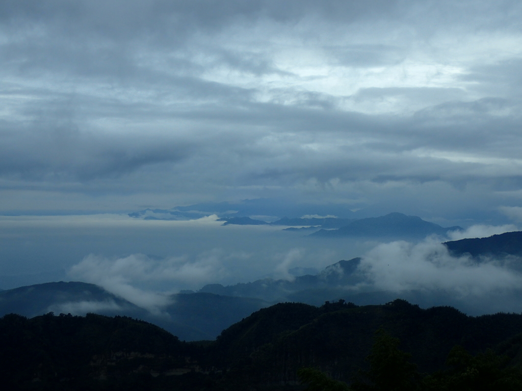 PA231817.JPG - 古坑  雲嶺之丘