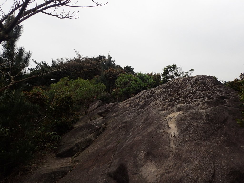 P3160057.JPG - 汐止  柯子林山  如意湖