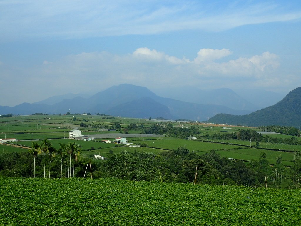 PA282149.JPG - 埔里  大坪頂  百香果園