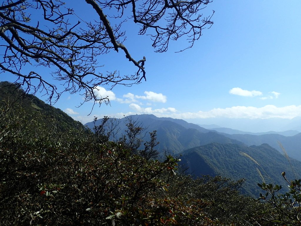 P2034807.JPG - 南庄  加里山