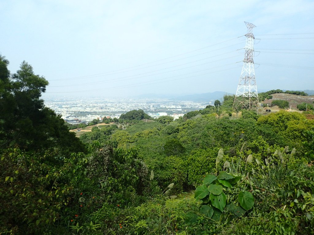 P2095082.JPG - 霧峰  阿罩霧山