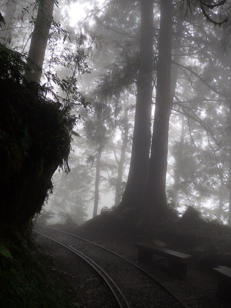 P8226807.JPG - 太平山 見晴懷古步道