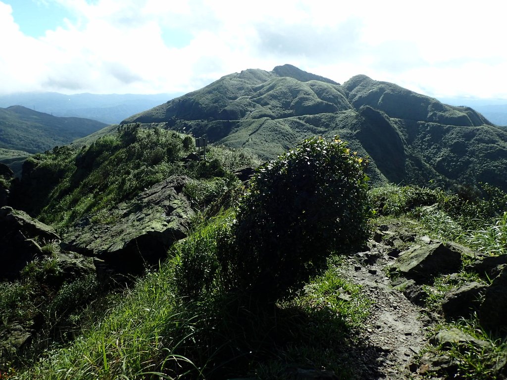 P1102319.JPG - 半坪山  無耳茶壺山