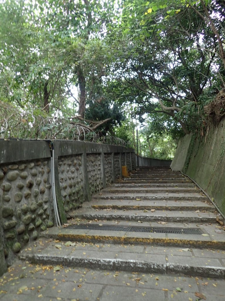 P1122624.JPG - 大直圓山風景區  劍潭山