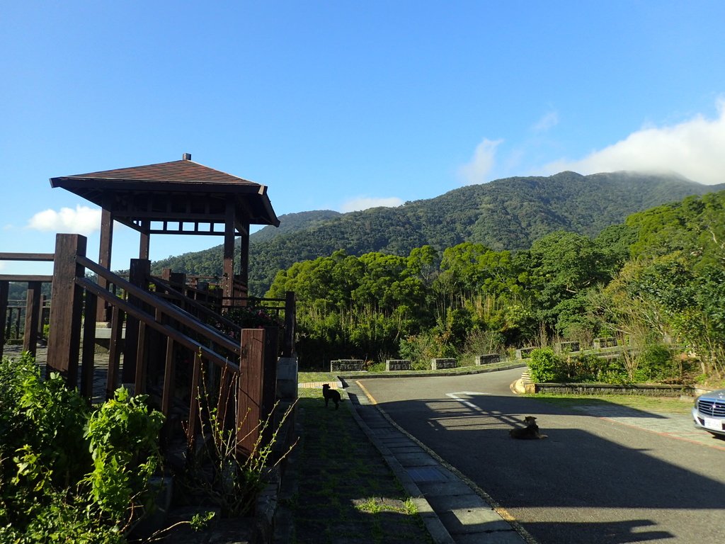 PB247271.JPG - 北投  中正山登山步道 01