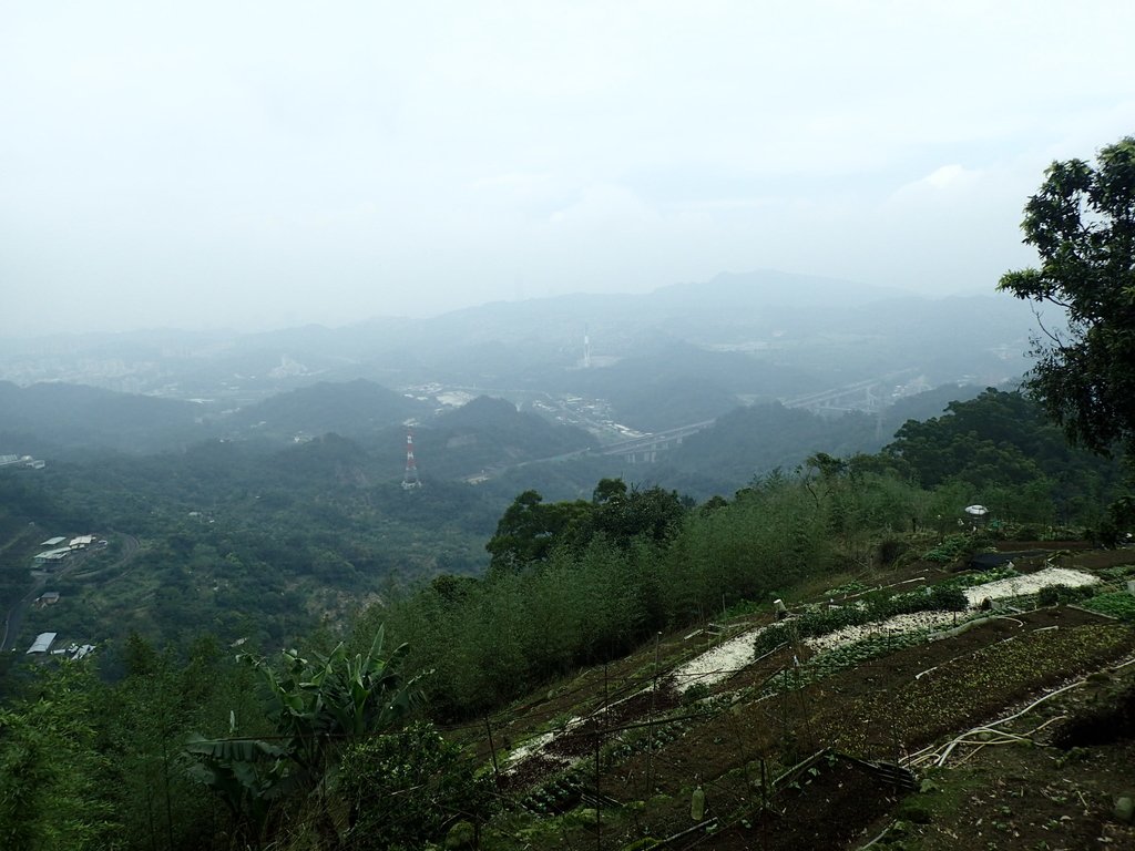 P4051090.JPG - 深坑  炮子崙登山步道