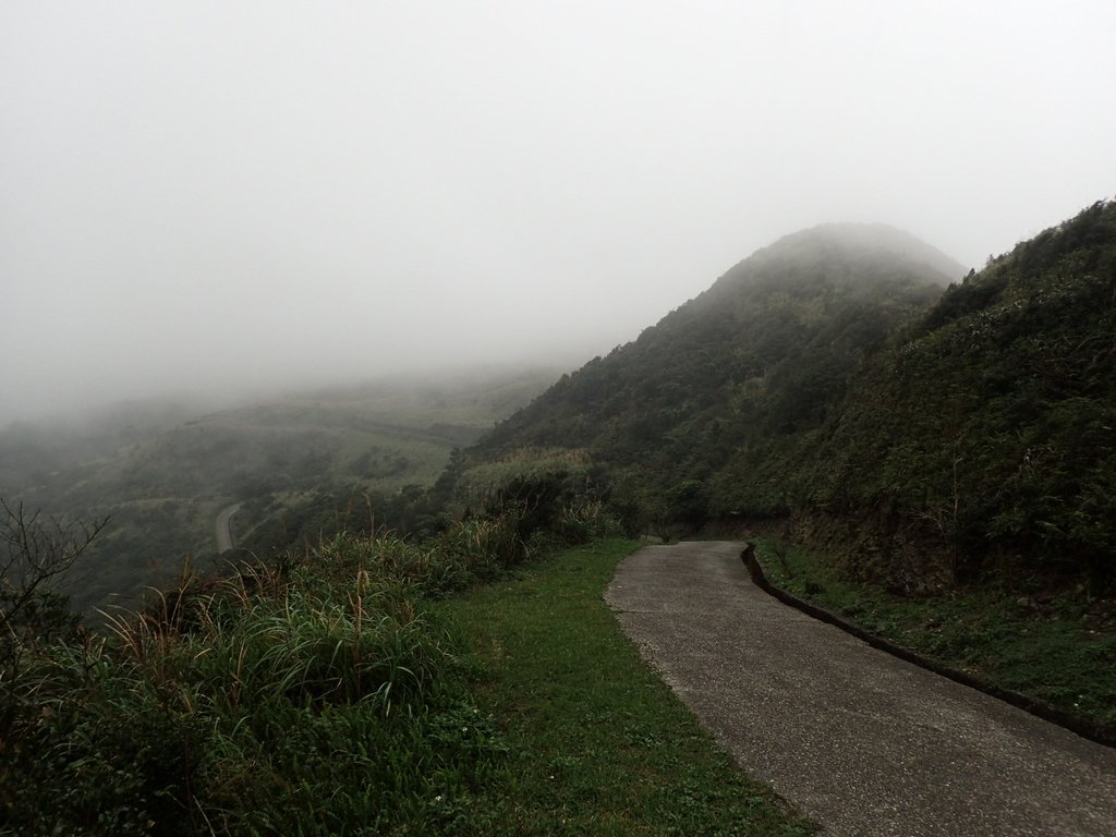 P1203571.JPG - 瑞芳  牡丹山