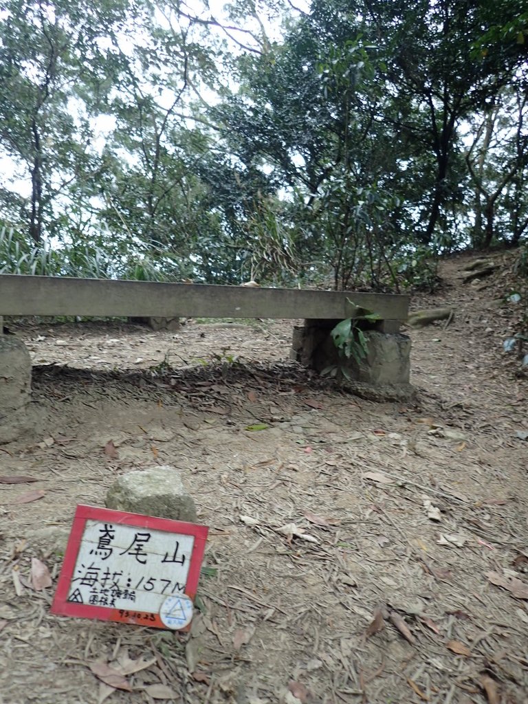 P2167986.JPG - 三峽  鳶尾山登山步道