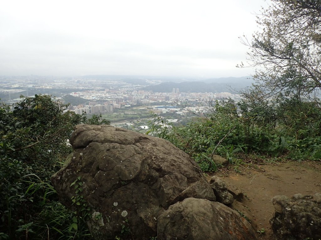 P2168055.JPG - 三峽  鳶山  (福德坑山)