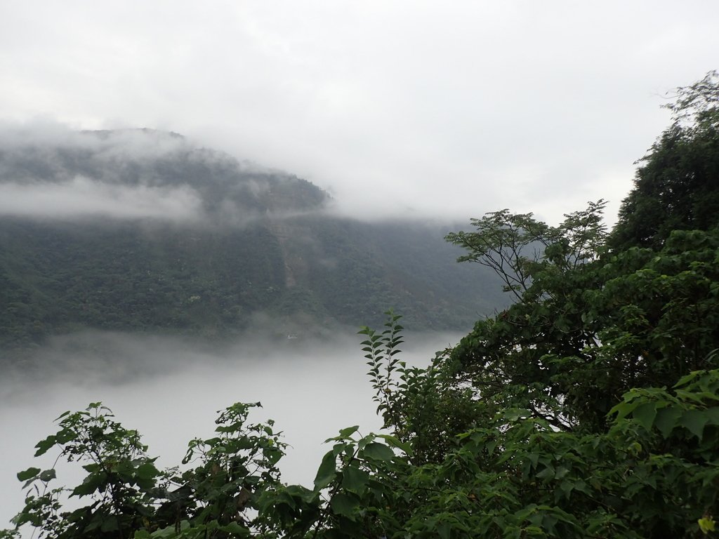 PA231540.JPG - 古坑  草嶺  雲山繚繞