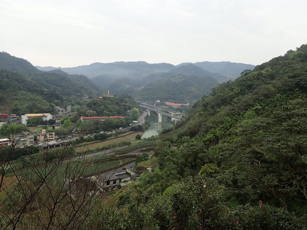 P3170367.JPG - 坪林  鬼子賴尖山