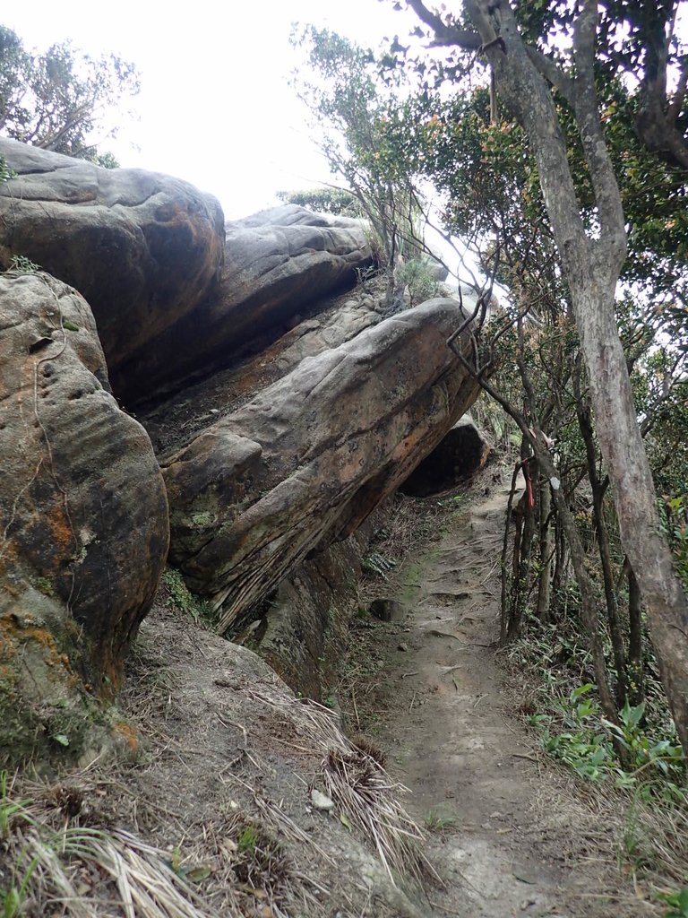 P3160076.JPG - 汐止  柯子林山  如意湖