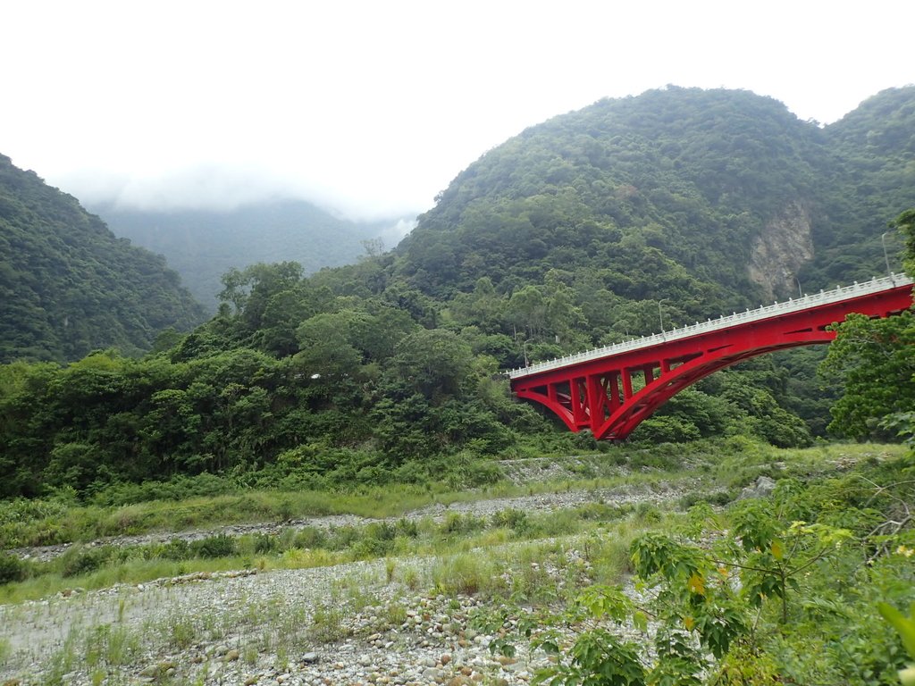 P9098342.JPG - 花蓮  太魯閣  小錐麓步道