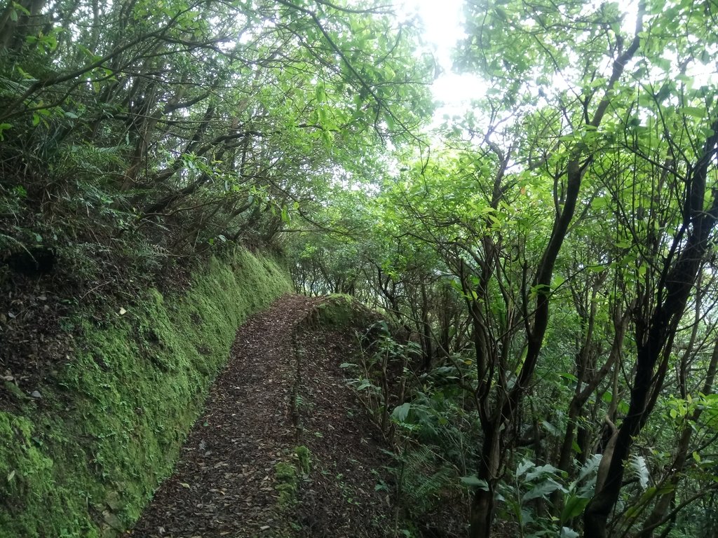 DSC_9441.JPG - 瑞芳  雞籠山登山步道