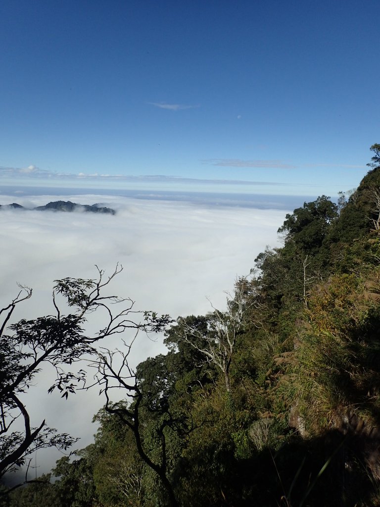 PC055902.JPG - 鹿谷  溪頭  南鳳凰山