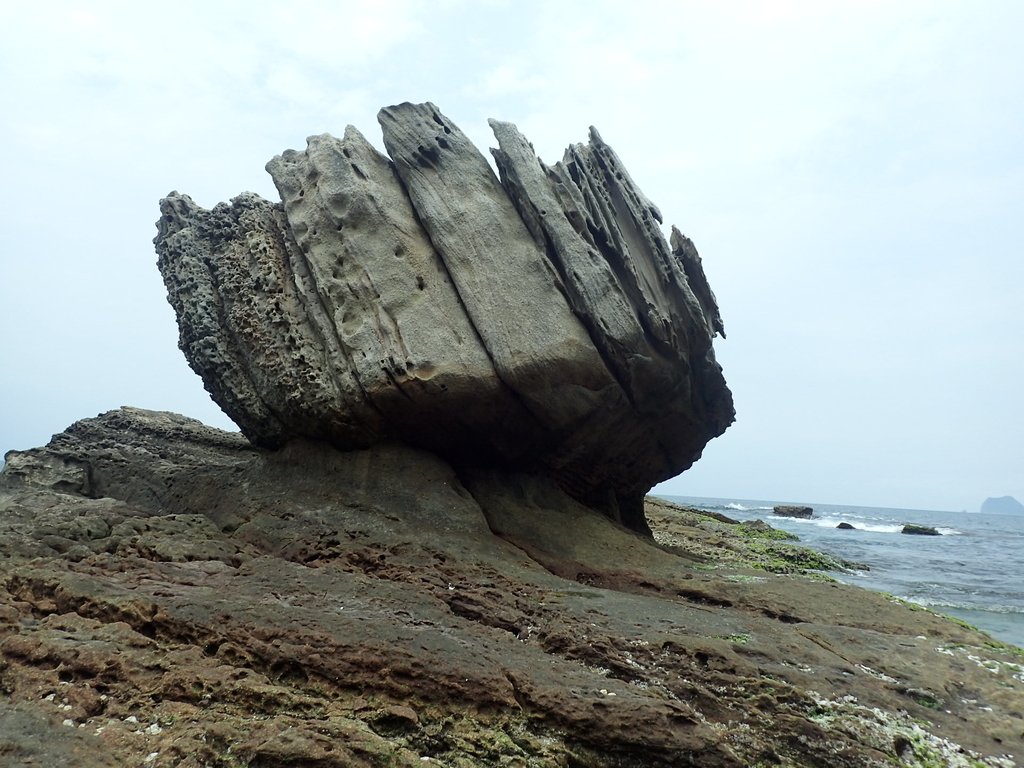 P5163282.JPG - 萬里  拳頭石海岸