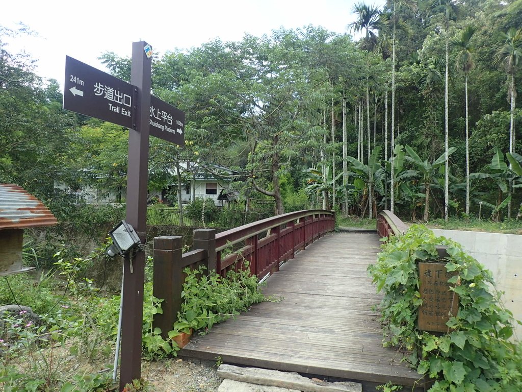 P6284936.JPG - 魚池  澀水森林步道  水上瀑布