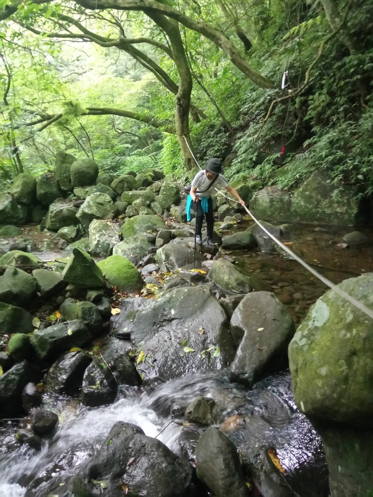 DSC_0691.JPG - 三芝  大屯溪古道