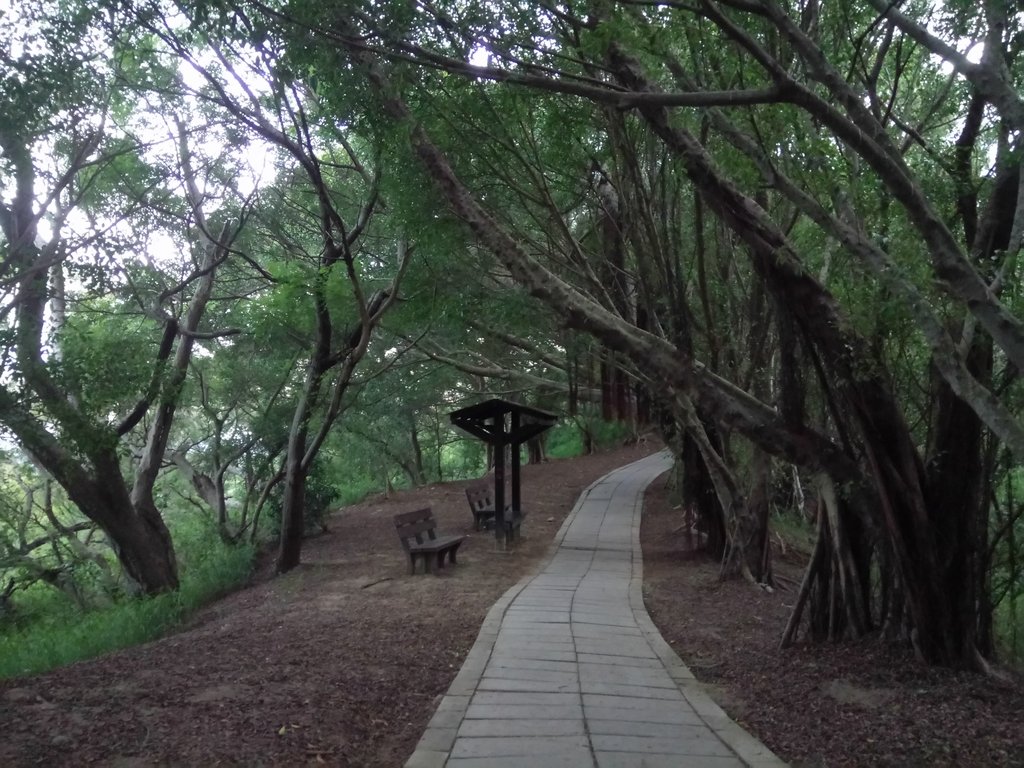 DSC_4005.JPG - 大肚  萬里長城登山步道