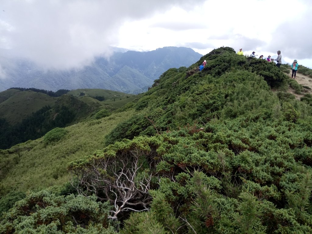 DSC_5385.JPG - 合歡山  北峰之美  (中)