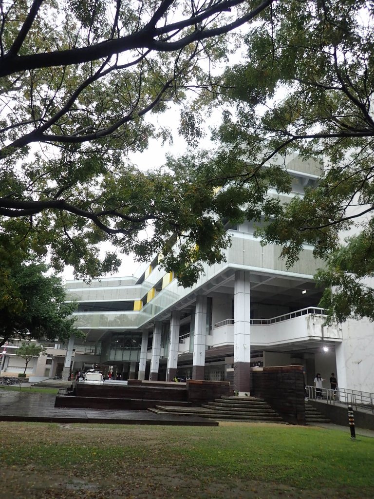 PB074560.JPG - 台南  成功大學  校園掠影