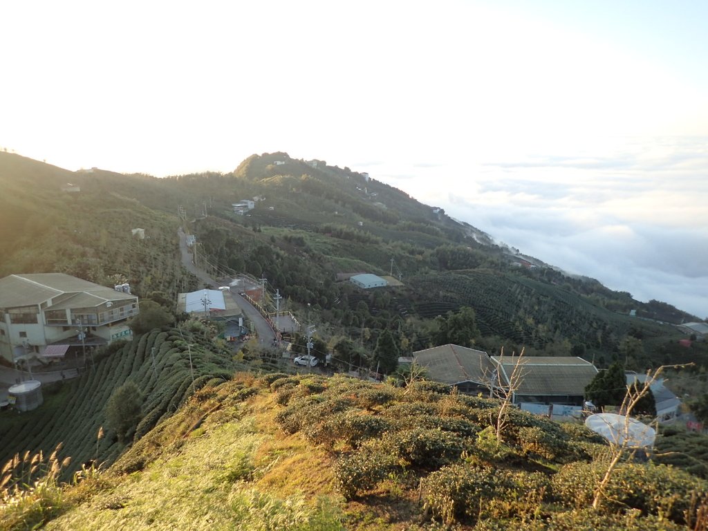 P1076407.JPG - 鹿谷  大崙山  觀霧亭之  暮光