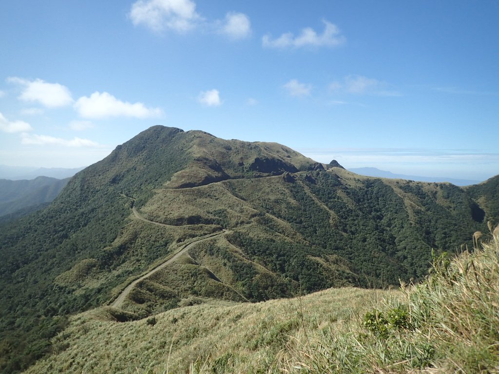 P1216558.JPG - 瑞芳  草山戰備道  (01)