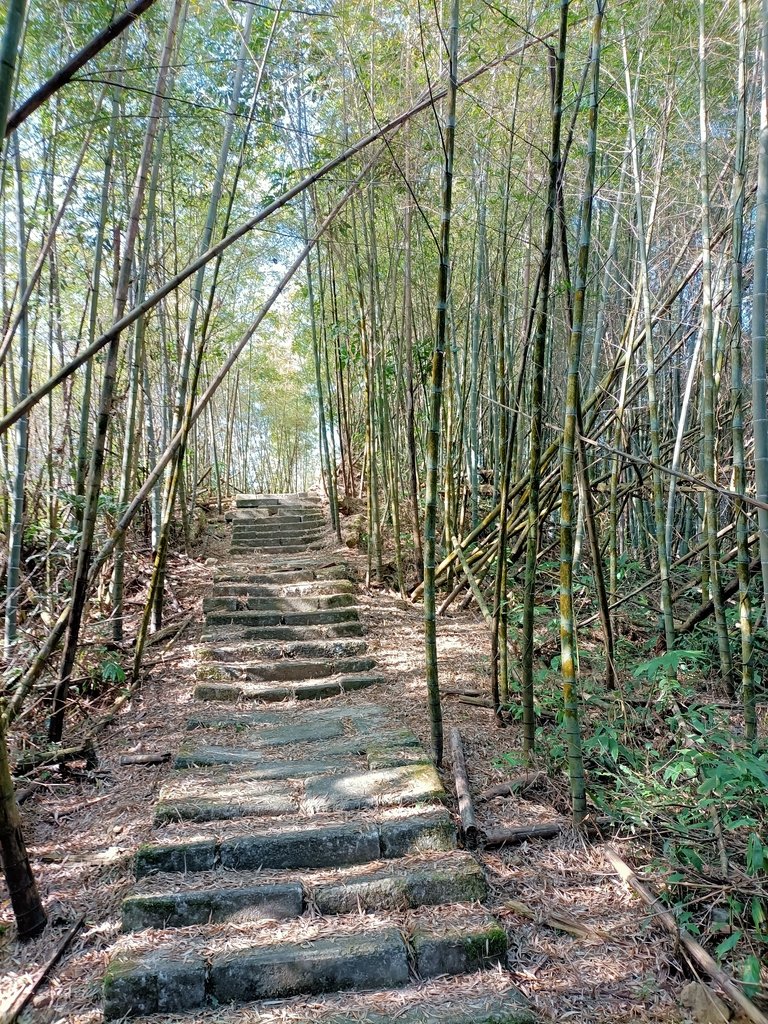 IMG20210130093235.jpg - 雲嘉連峰之  太平山  梨子腳山