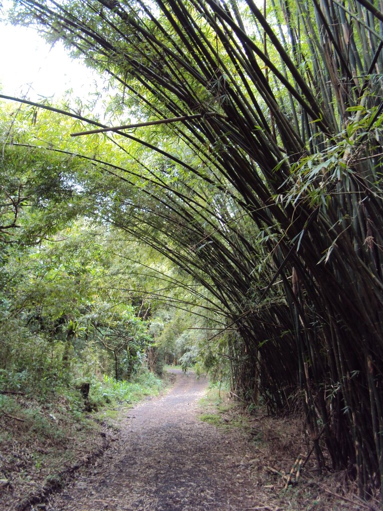 DSC03871.JPG - 礁溪  跑馬古道